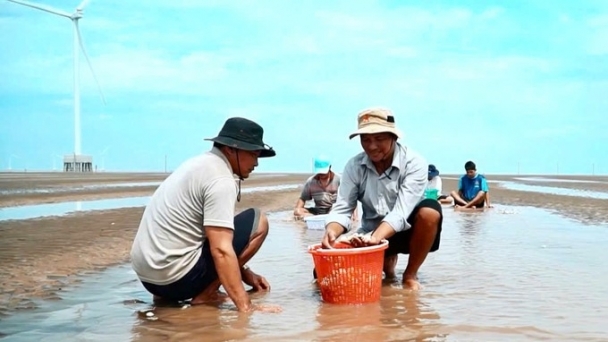 Developing the clam farming profession: Exploitation combined with regeneration of natural resources